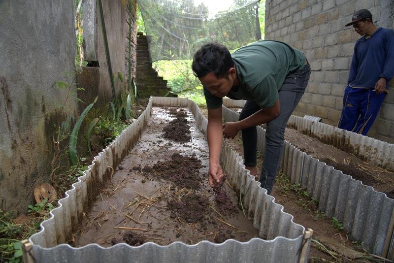 Processing organic material
